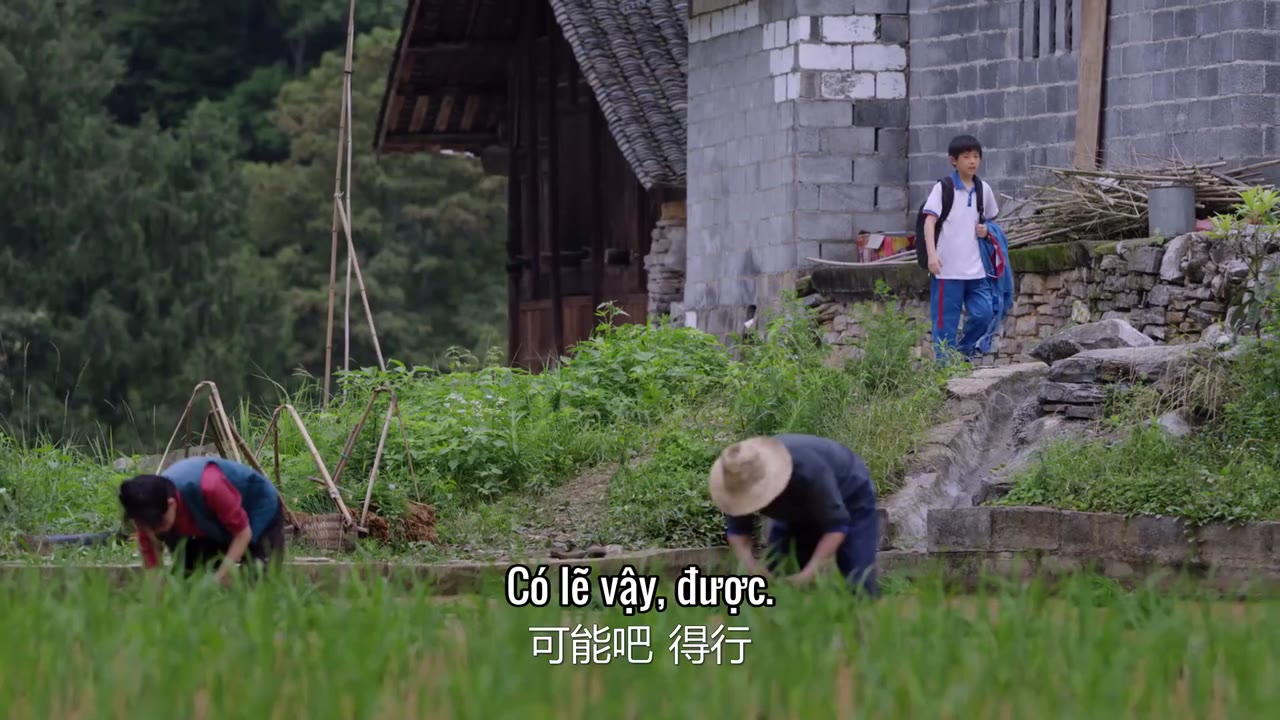 Mưa Thuận Gió Hoà tập 5 cảnh 3