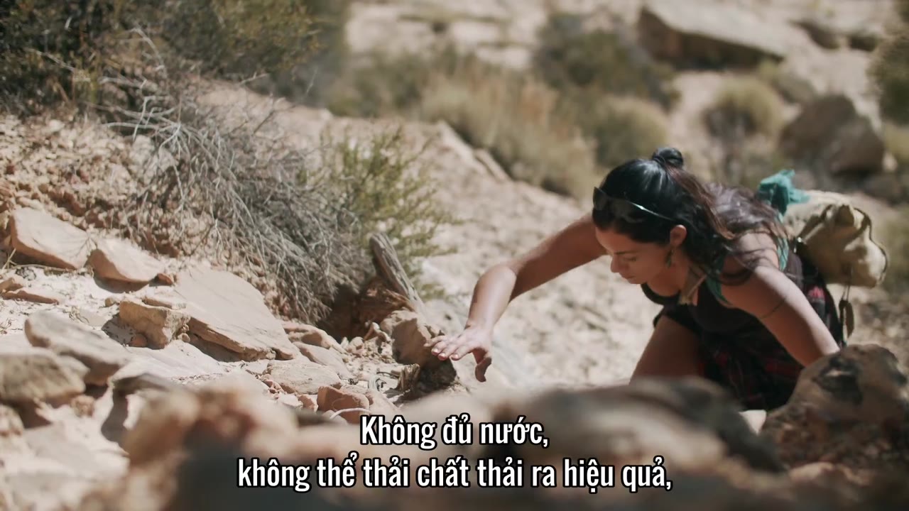 Con người: Thế giới bên trong cơ thể tập 4