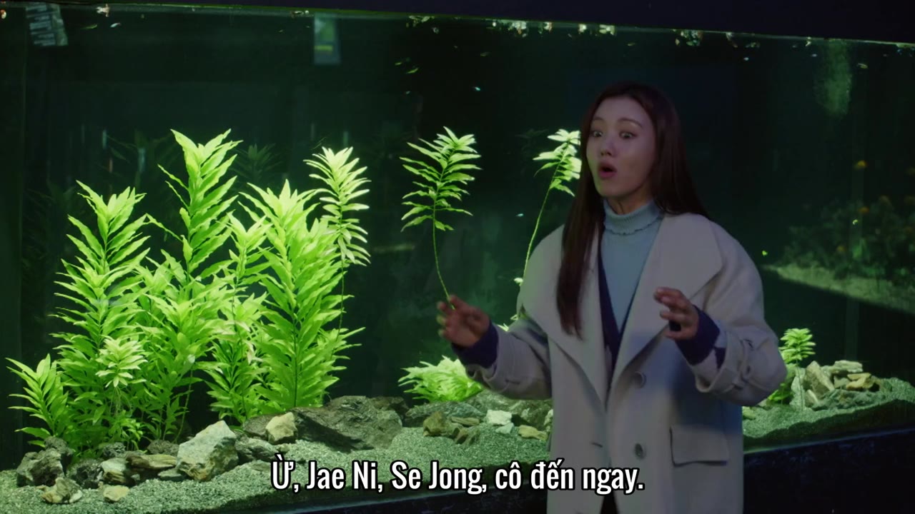 Thiếu Nữ Và Quý Ông tập 36