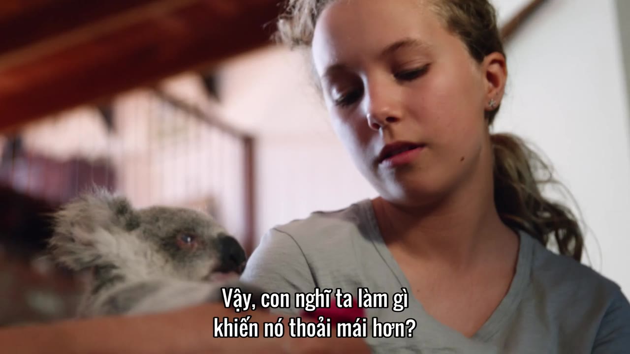 Thế giới gấu túi của Izzy (Phần 2) tập 2