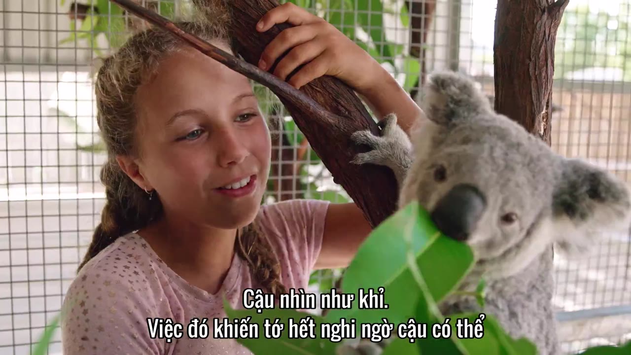 Thế giới gấu túi của Izzy (Phần 2) tập 7 cảnh 3