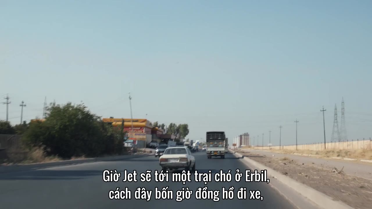 Những chú chó tập 3