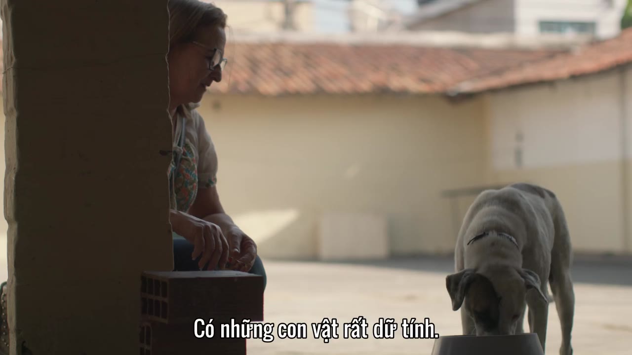 Những chú chó tập 4 cảnh 2