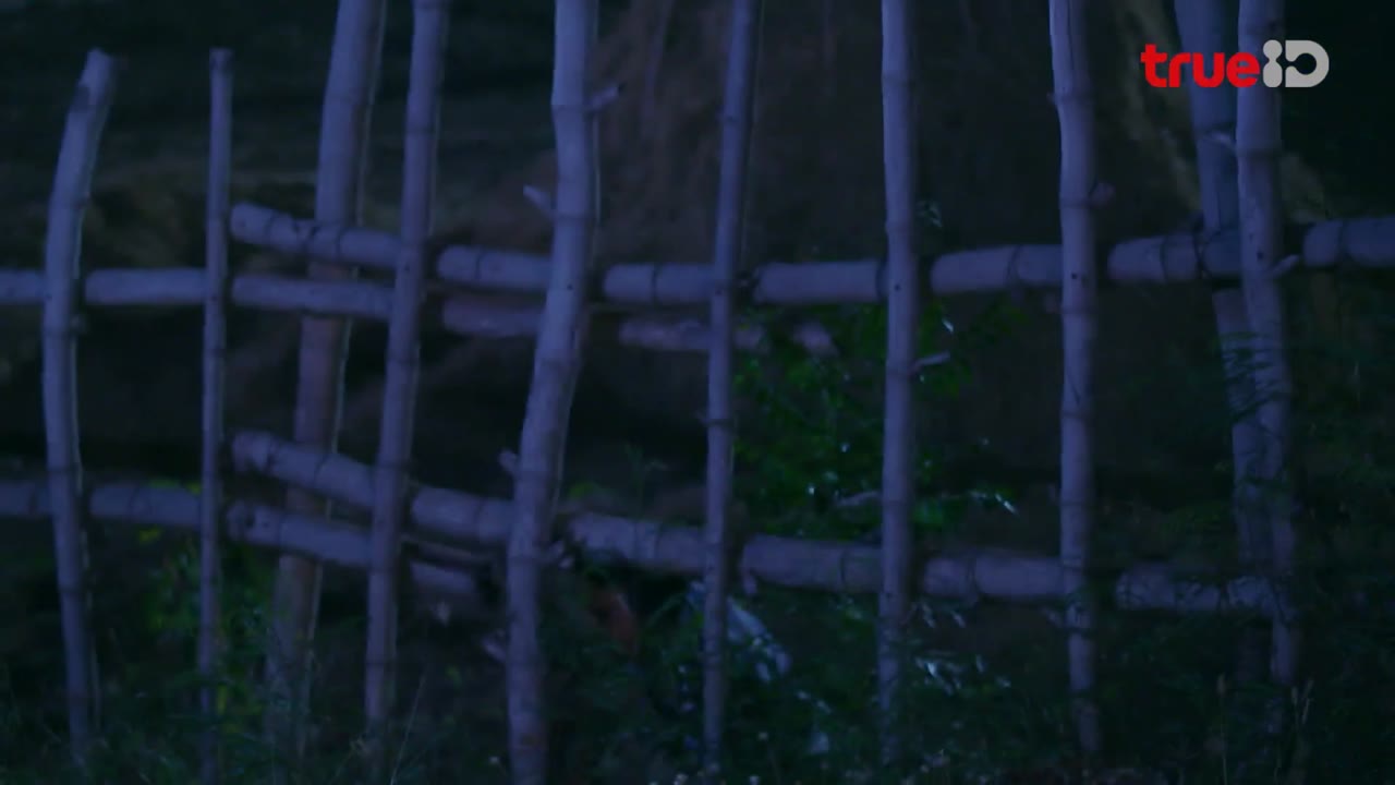 Lạc Mất Nguồn Cội tập 2