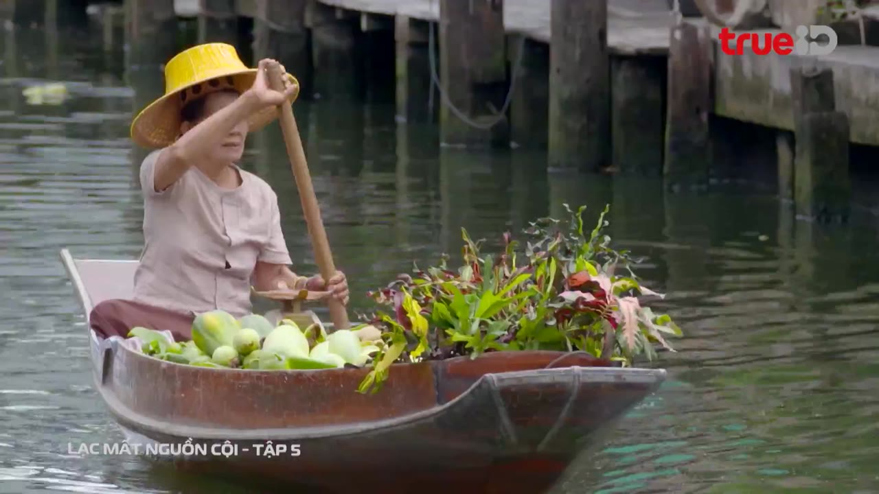 Lạc Mất Nguồn Cội tập 5