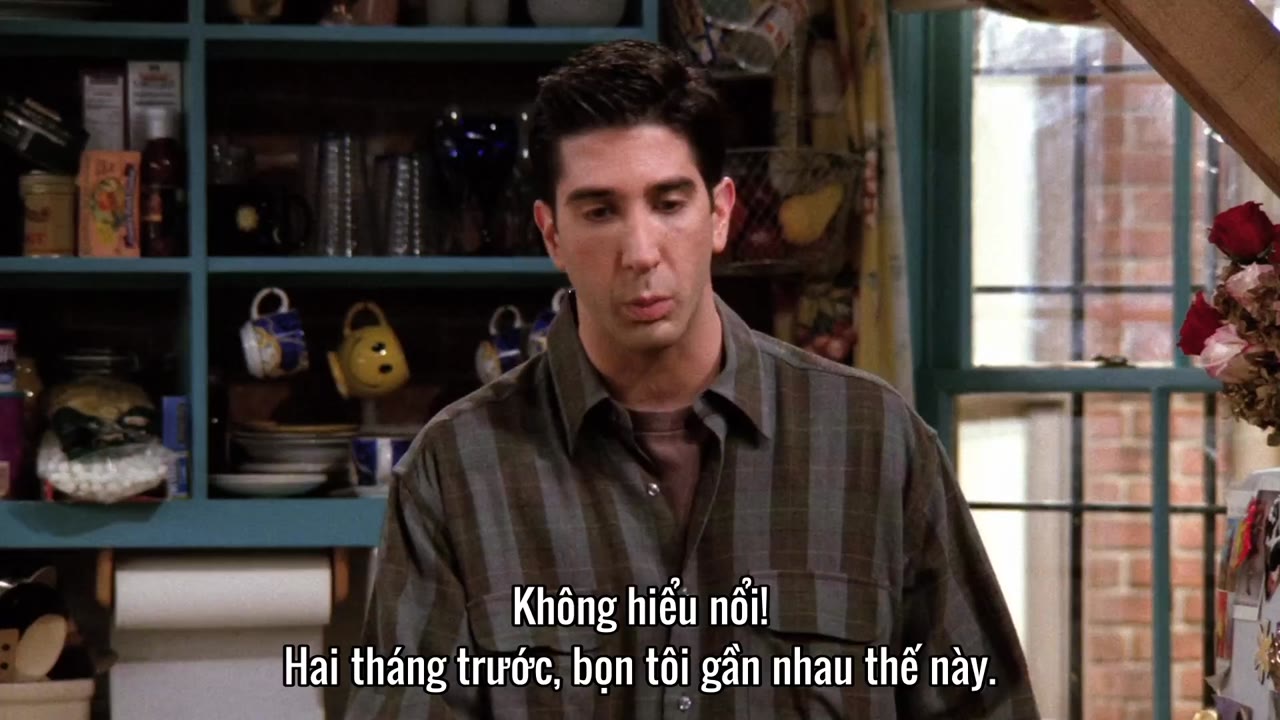 Những Người Bạn (Phần 2) tập 14