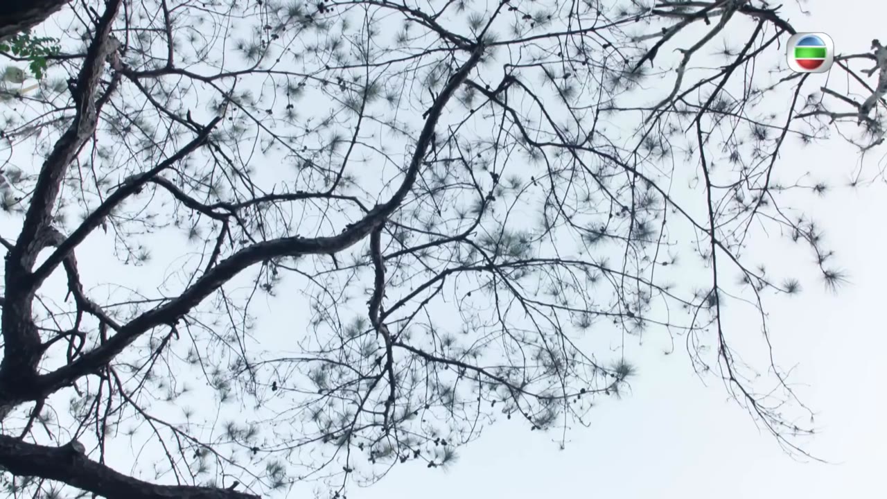 Vạch Tội tập 31 cảnh 2