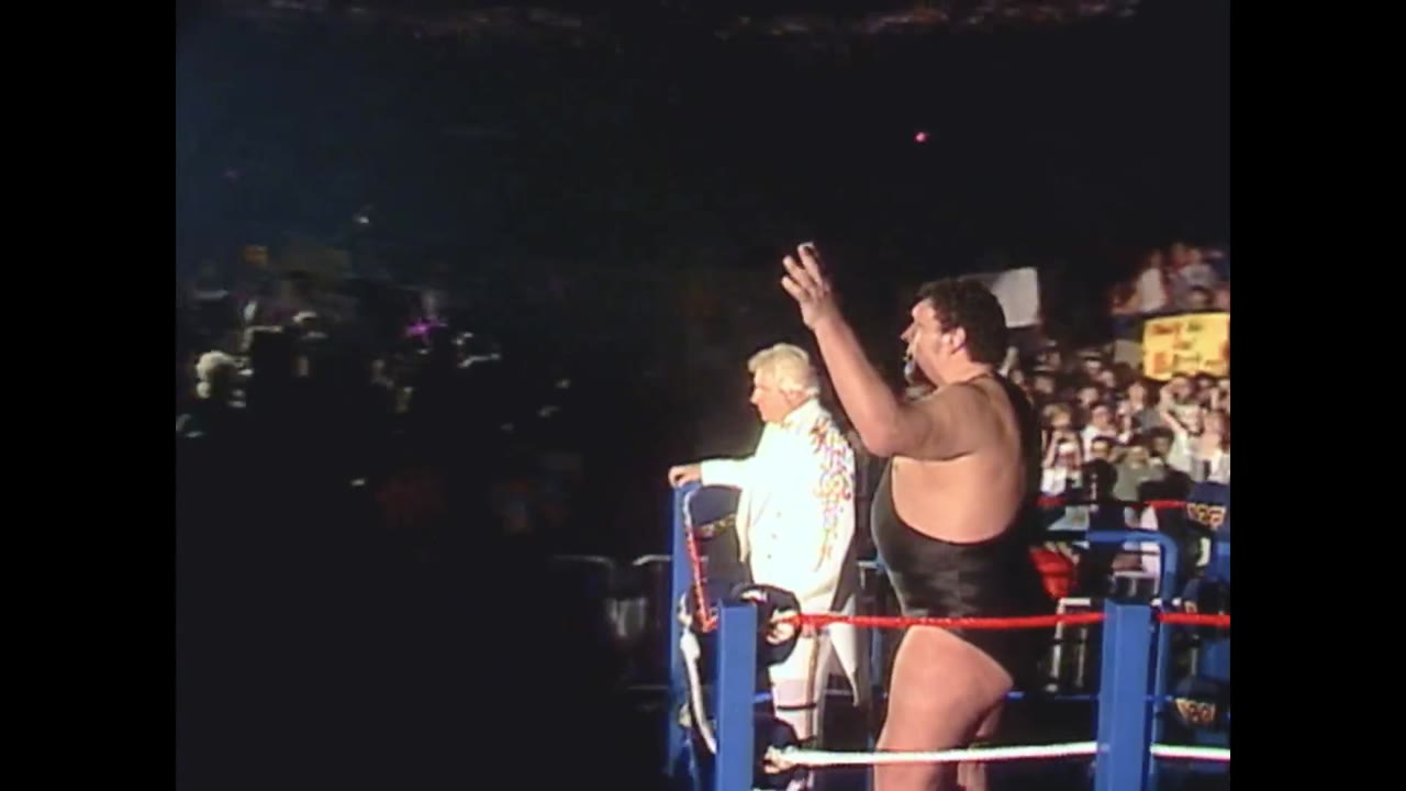 Mr. McMahon tập 2