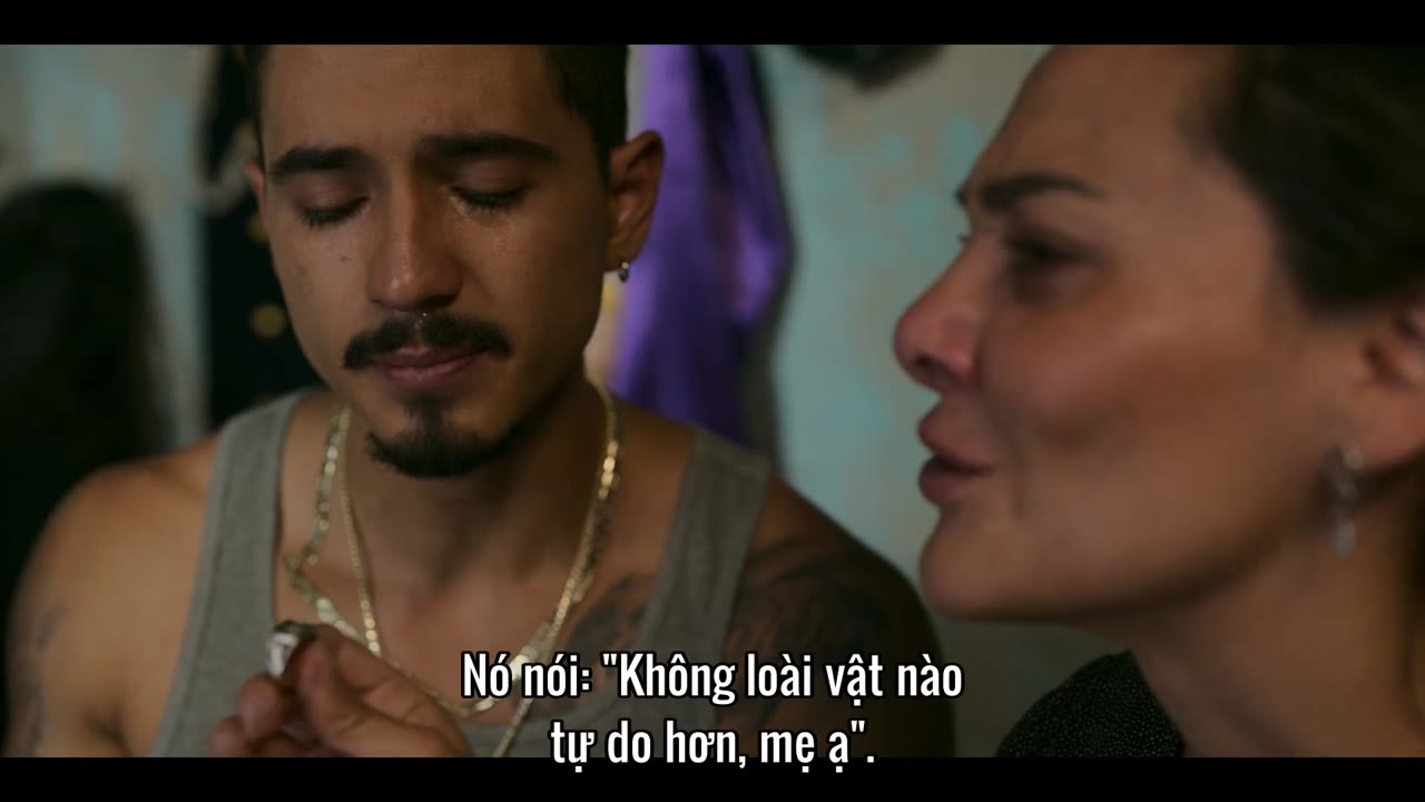 Chúng Ta Từng Là Vua tập 2