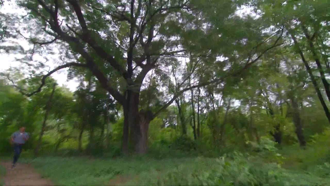 Huynh Đệ Tương Tàn tập 16