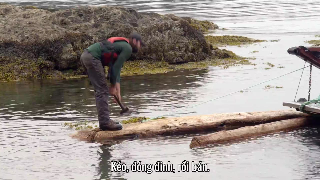 Gỗ lớn tập 3