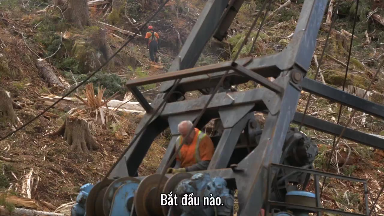Gỗ lớn tập 3 cảnh 3