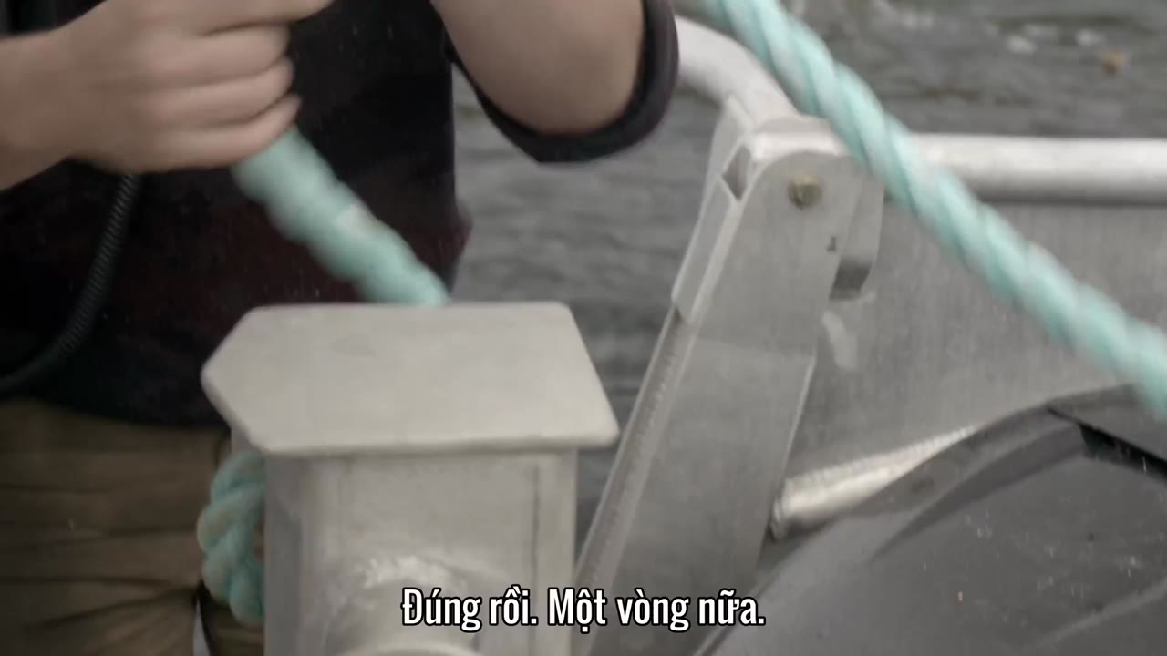 Gỗ lớn tập 6