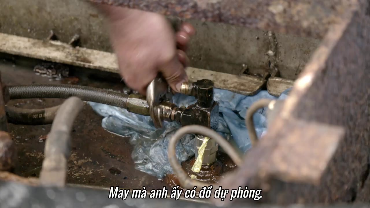 Gỗ lớn tập 8