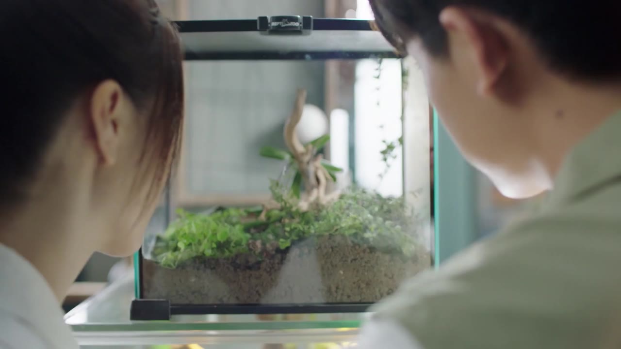 Kẻ Chủ Mưu tập 11 cảnh 2
