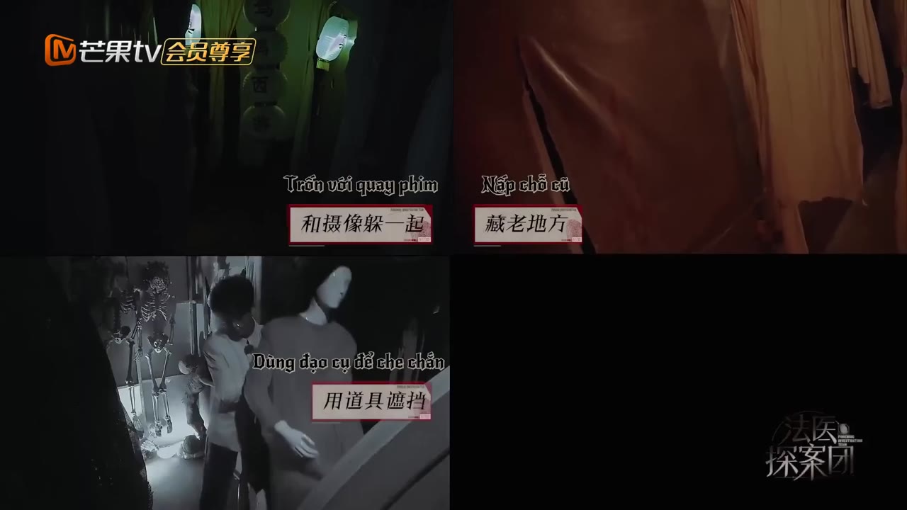 Đội Thám Tử Pháp Y tập 5