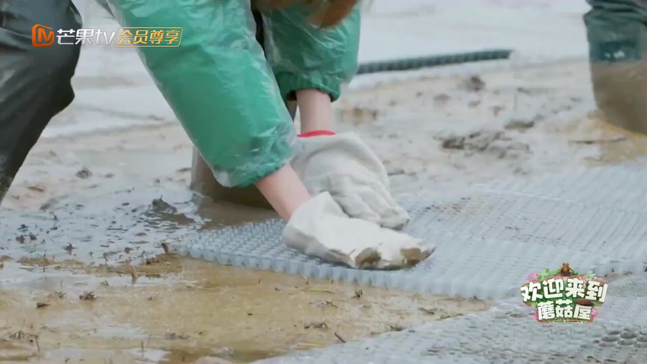 Chào Mừng Đến Với Nhà Nấm tập 4 cảnh 2