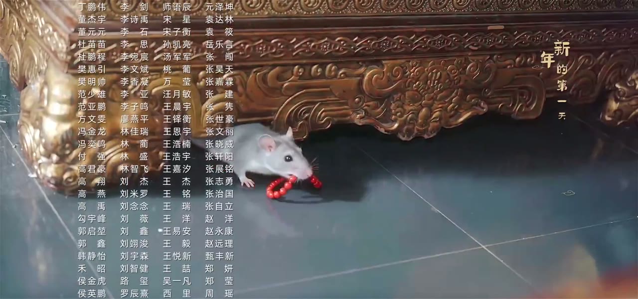 Bổn Huyền Nha Là Phúc Tinh tập 6 cảnh 3