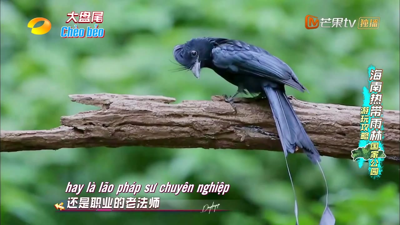 Ngày Ngày Tiến Lên 2022 tập 9 cảnh 2