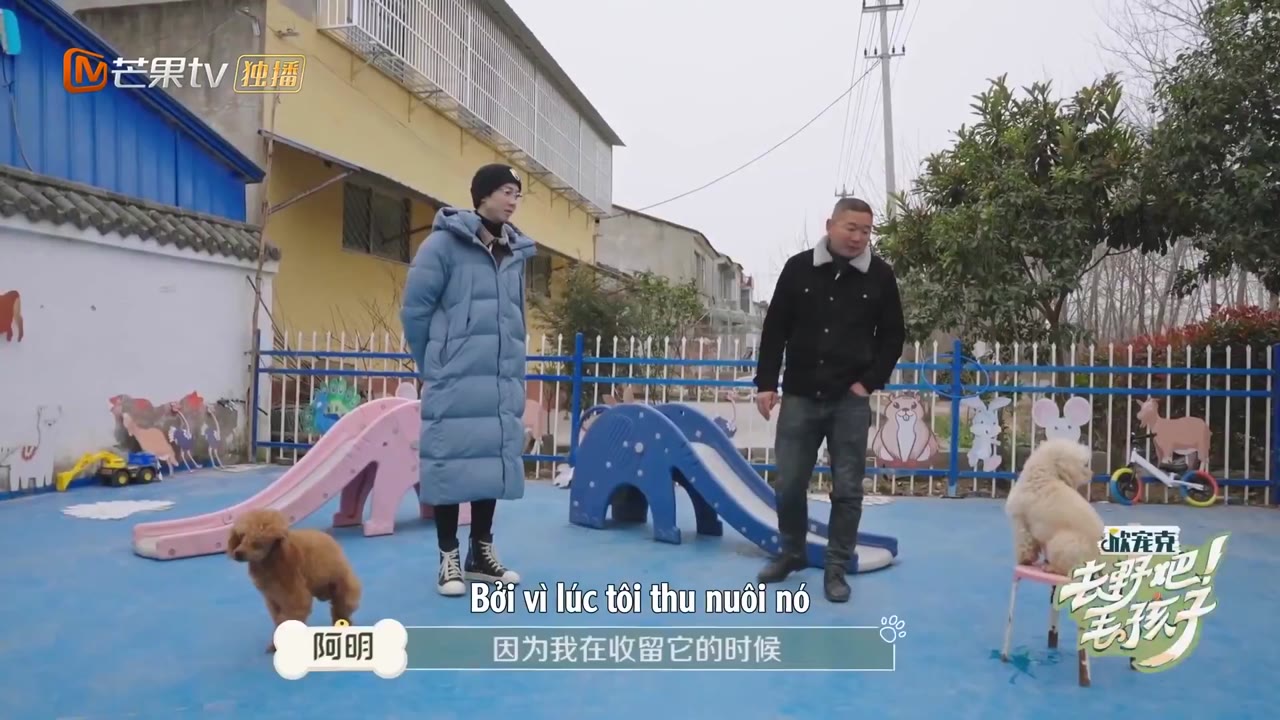 Đi Nào, Cún Con! tập 1 cảnh 2
