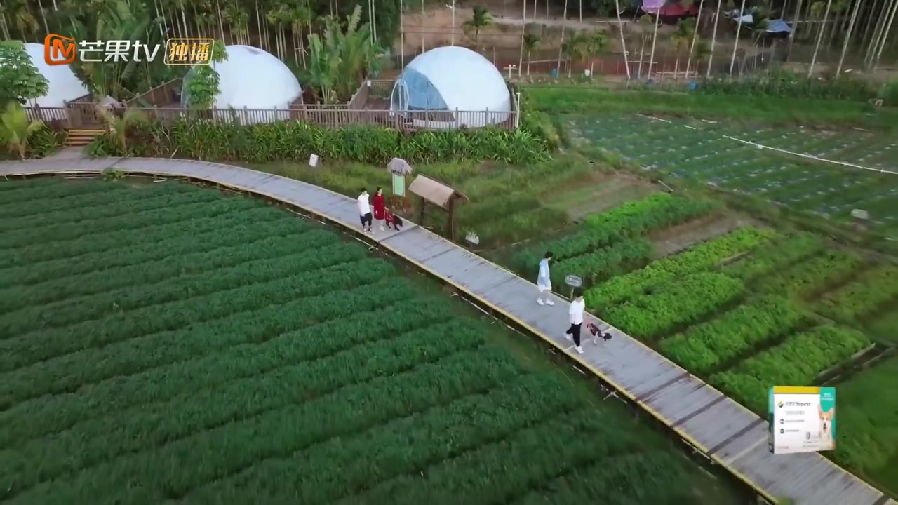 Đi Nào, Cún Con! tập 2 cảnh 2