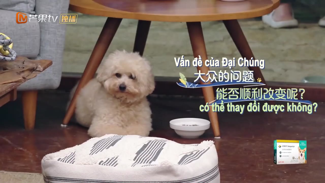 Đi Nào, Cún Con! tập 2 cảnh 3