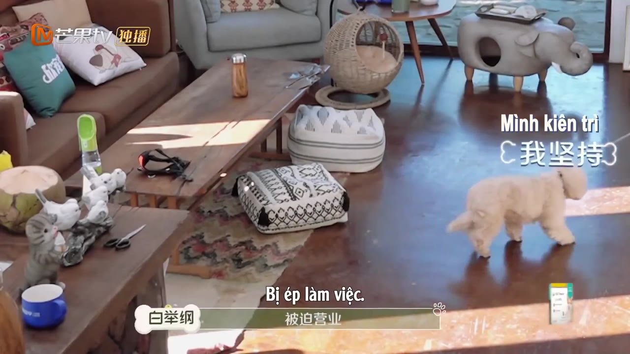 Đi Nào, Cún Con! tập 3