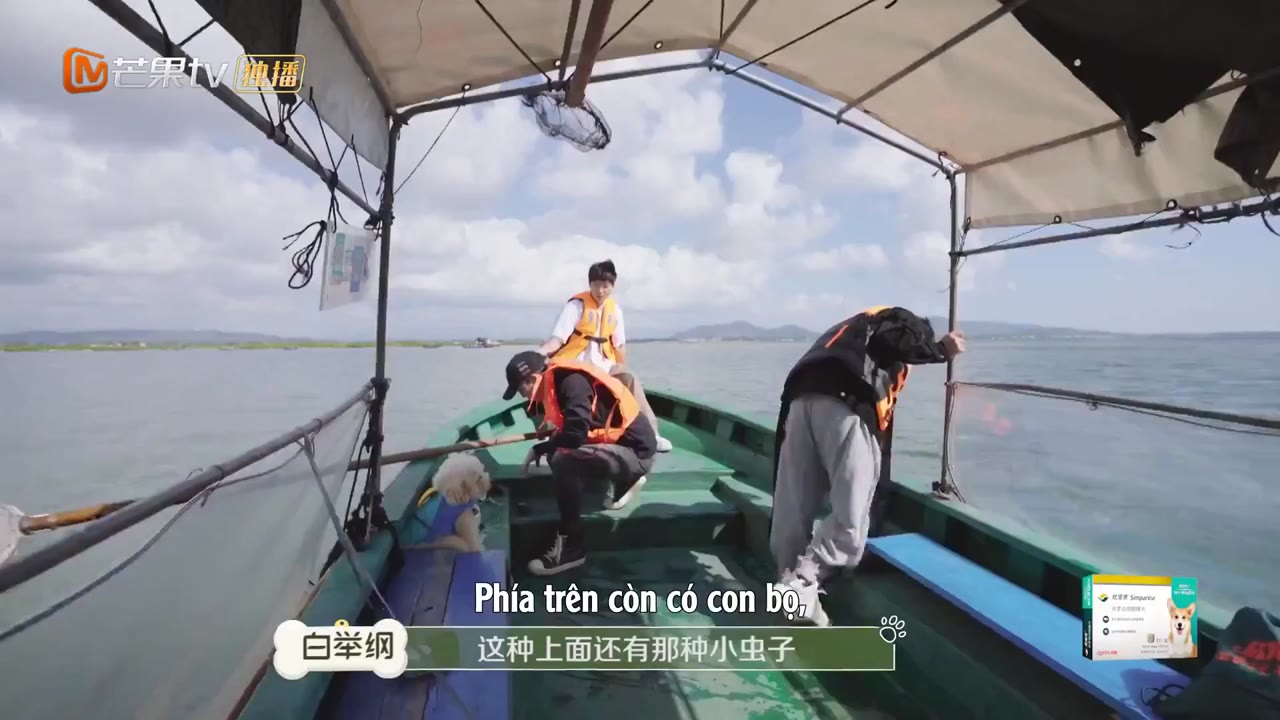 Đi Nào, Cún Con! tập 6 cảnh 3
