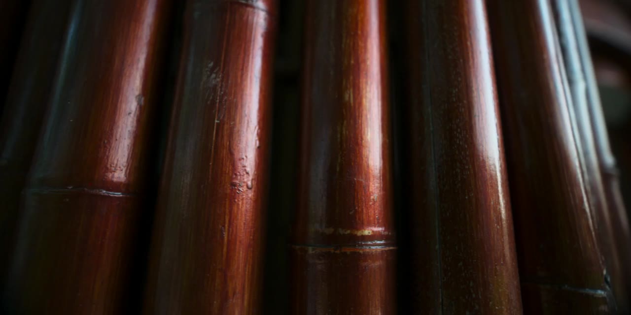 Ngôi Nhà Tương Lai (Phần 1) tập 8 cảnh 2