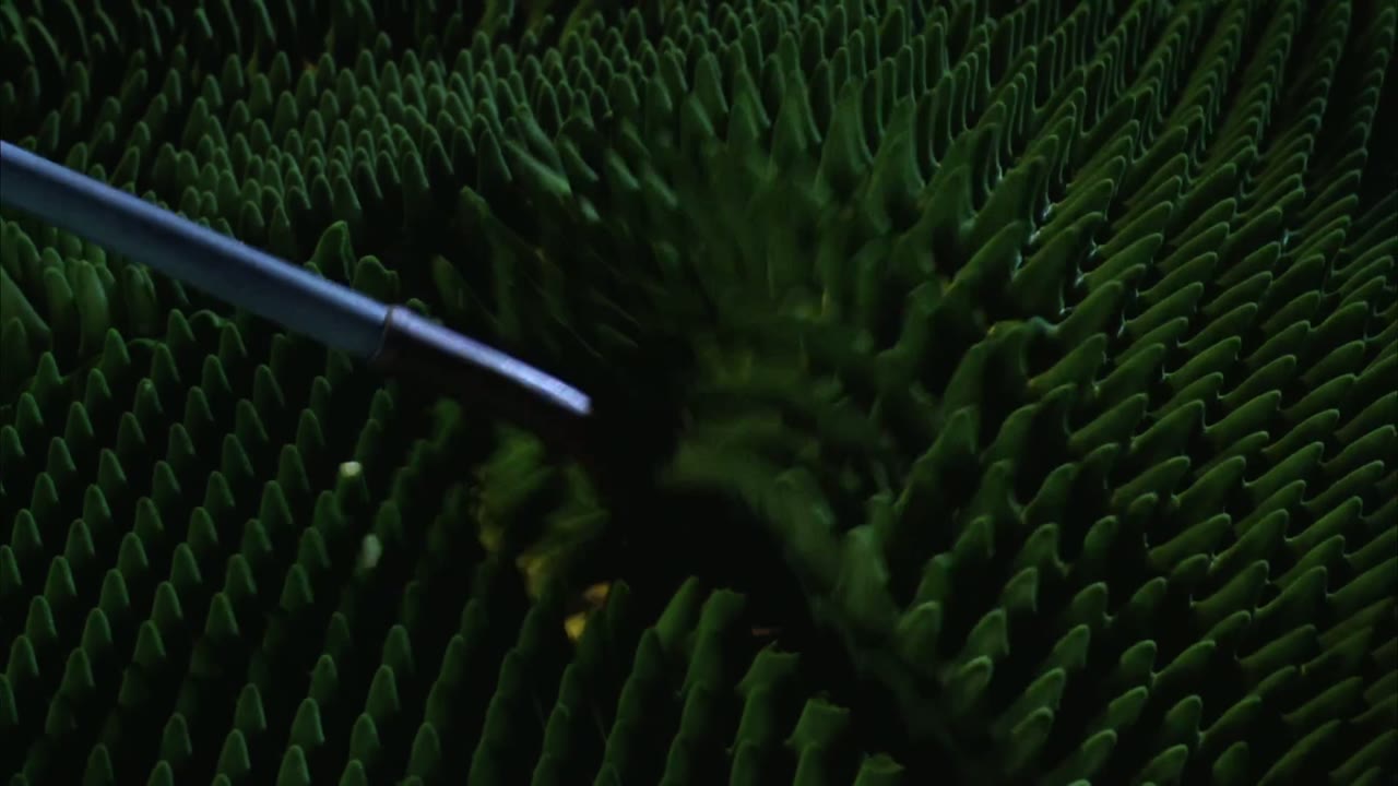 Beetlejuice tập 1 cảnh 2