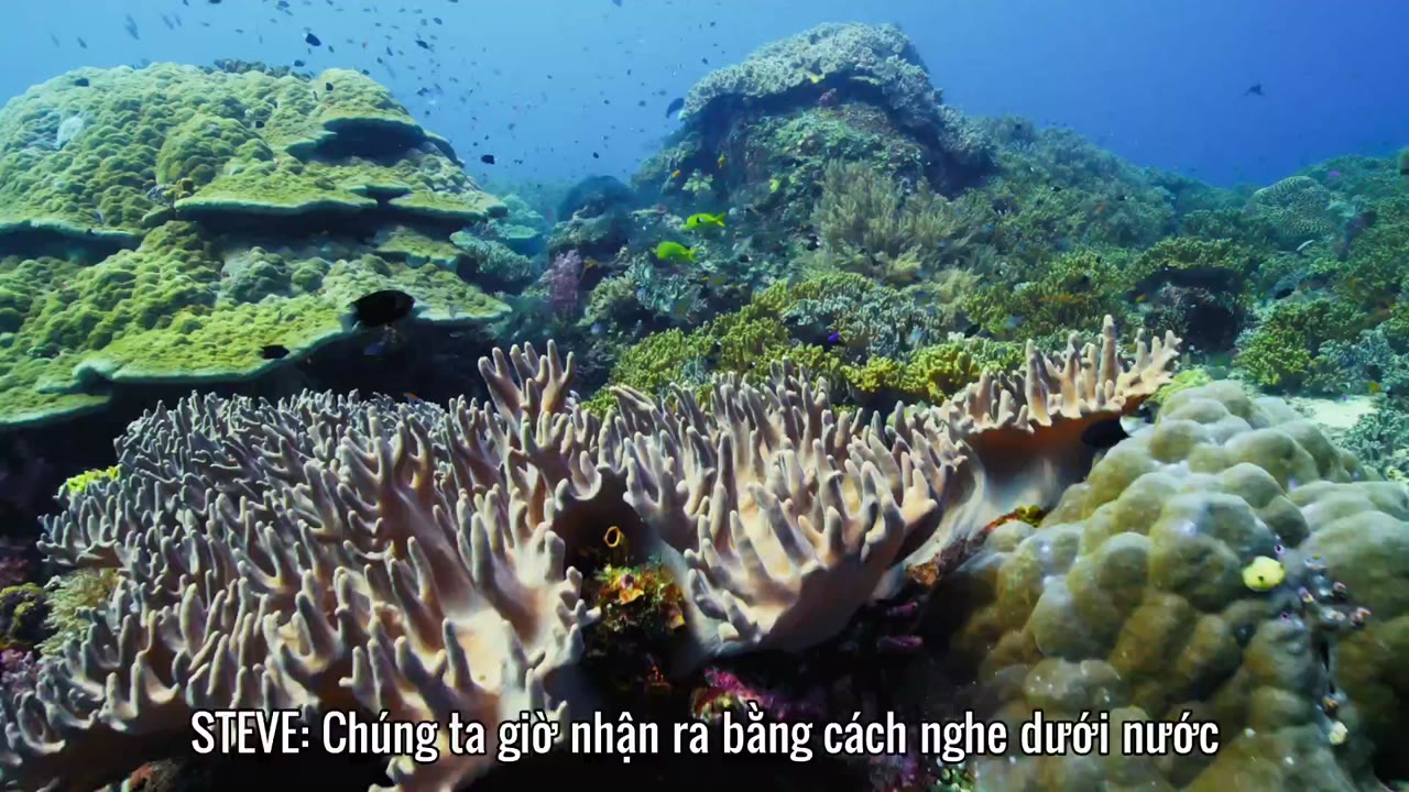 Đại Dương Sâu Thẳm 2 tập 7