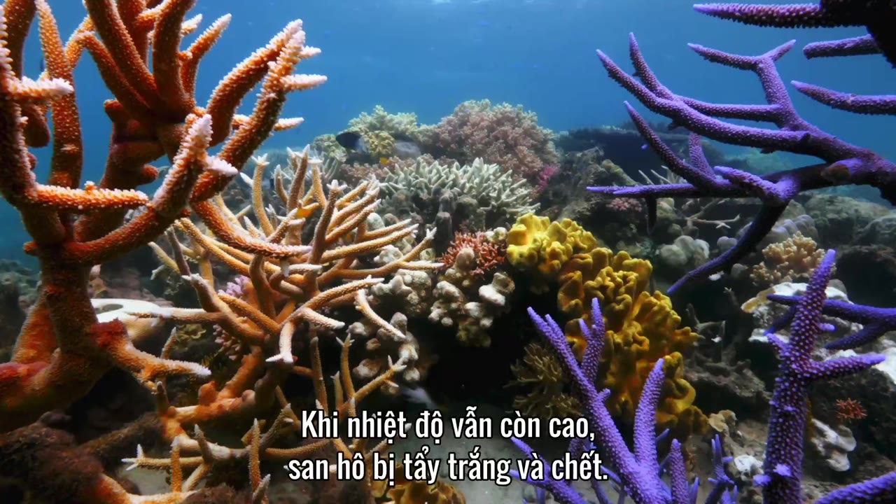 Đại Dương Sâu Thẳm 2 tập 7 cảnh 3