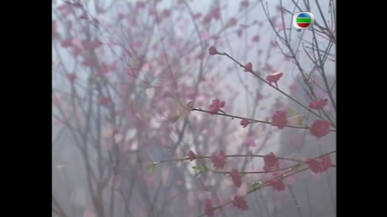 Không Thể Khuất Phục tập 11
