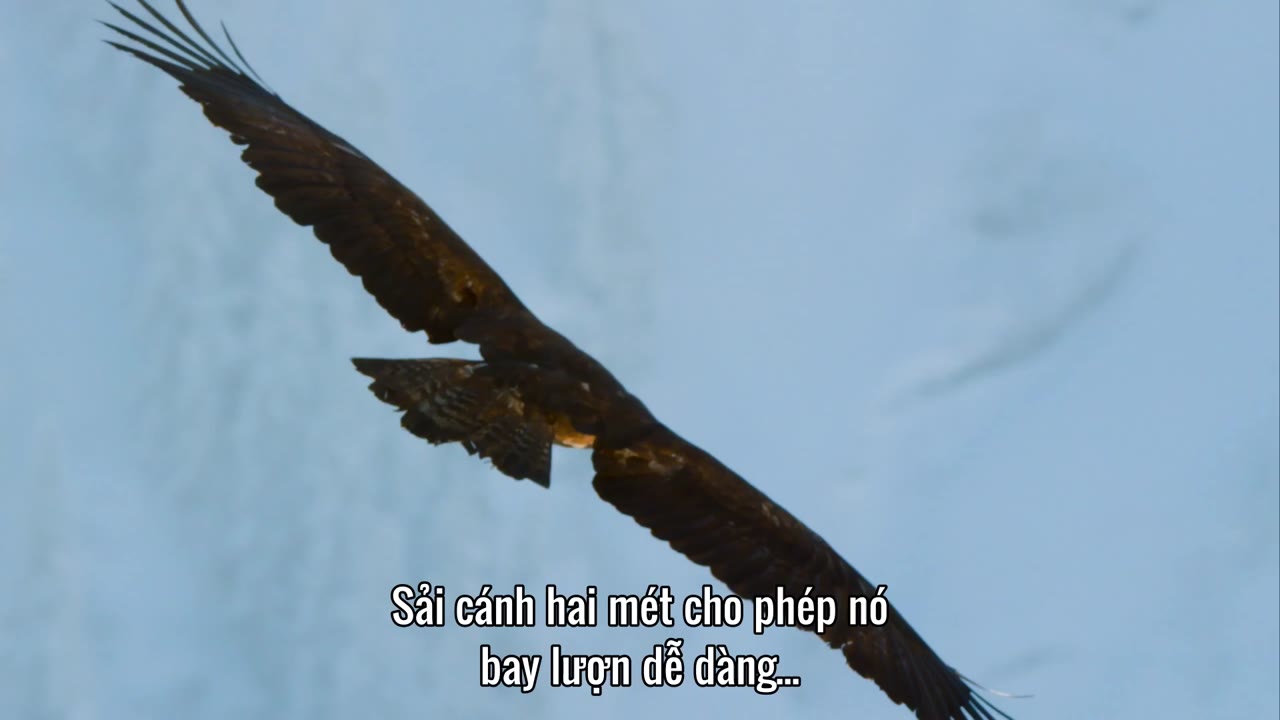 Hành Trình Trái Đất 2 tập 2