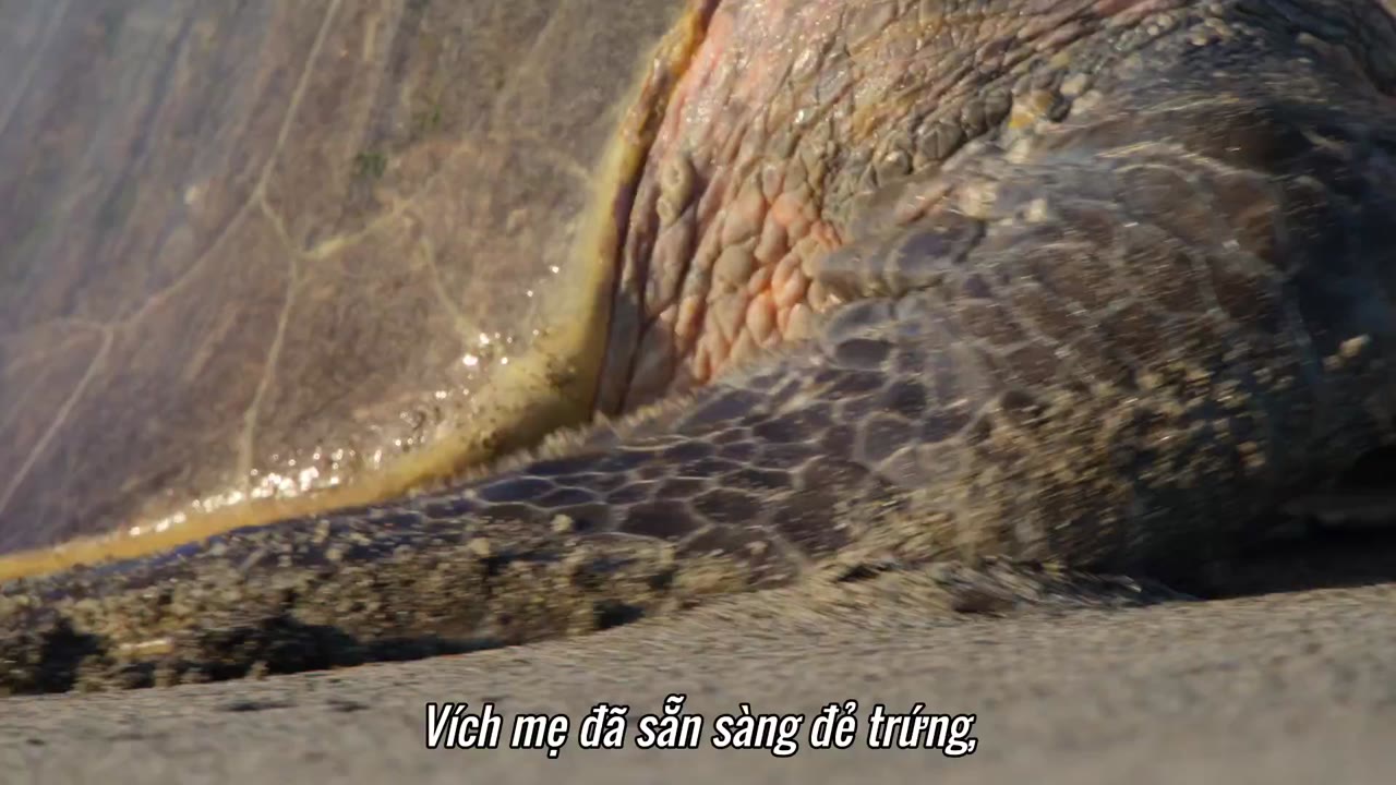 Hành tinh của chúng ta tập 3