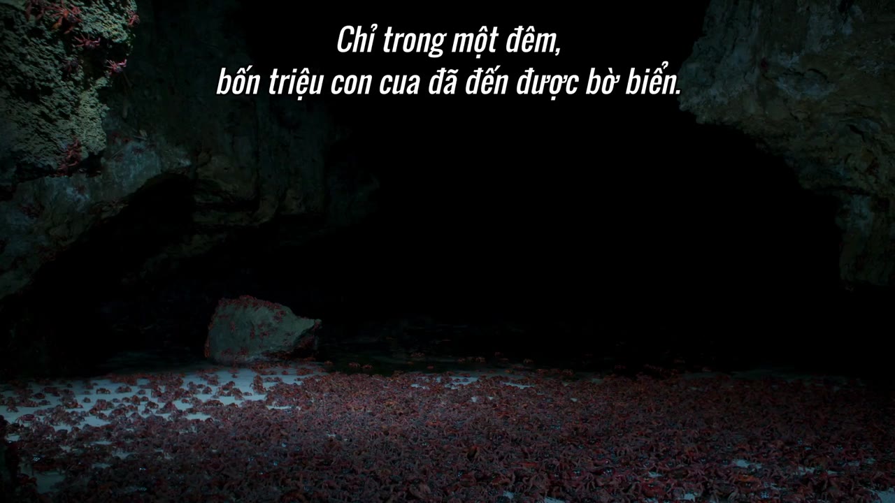 Hành tinh của chúng ta tập 3 cảnh 2