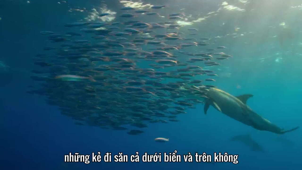 Hành Tinh Của Chúng Ta (Phần 1) tập 1