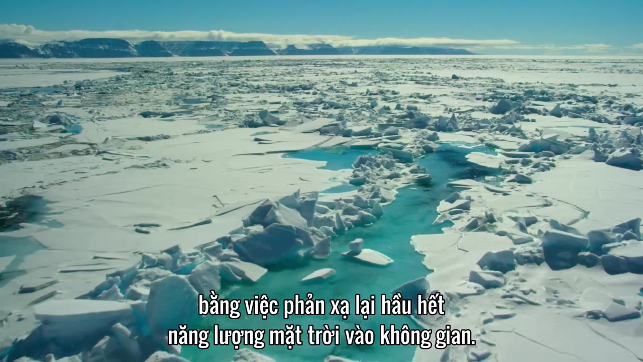 Hành Tinh Của Chúng Ta (Phần 1) tập 2 cảnh 3