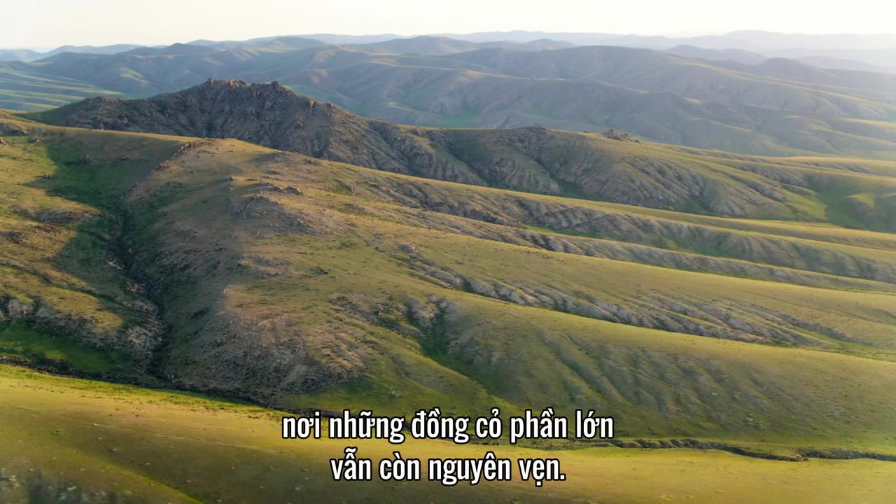 Hành Tinh Của Chúng Ta (Phần 1) tập 5 cảnh 3