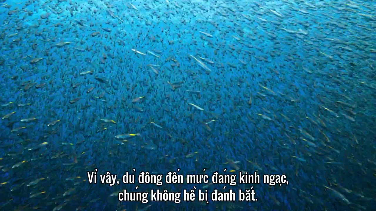 Hành Tinh Của Chúng Ta (Phần 1) tập 6