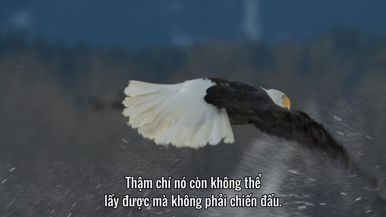 Hành Tinh Của Chúng Ta (Phần 1) tập 8