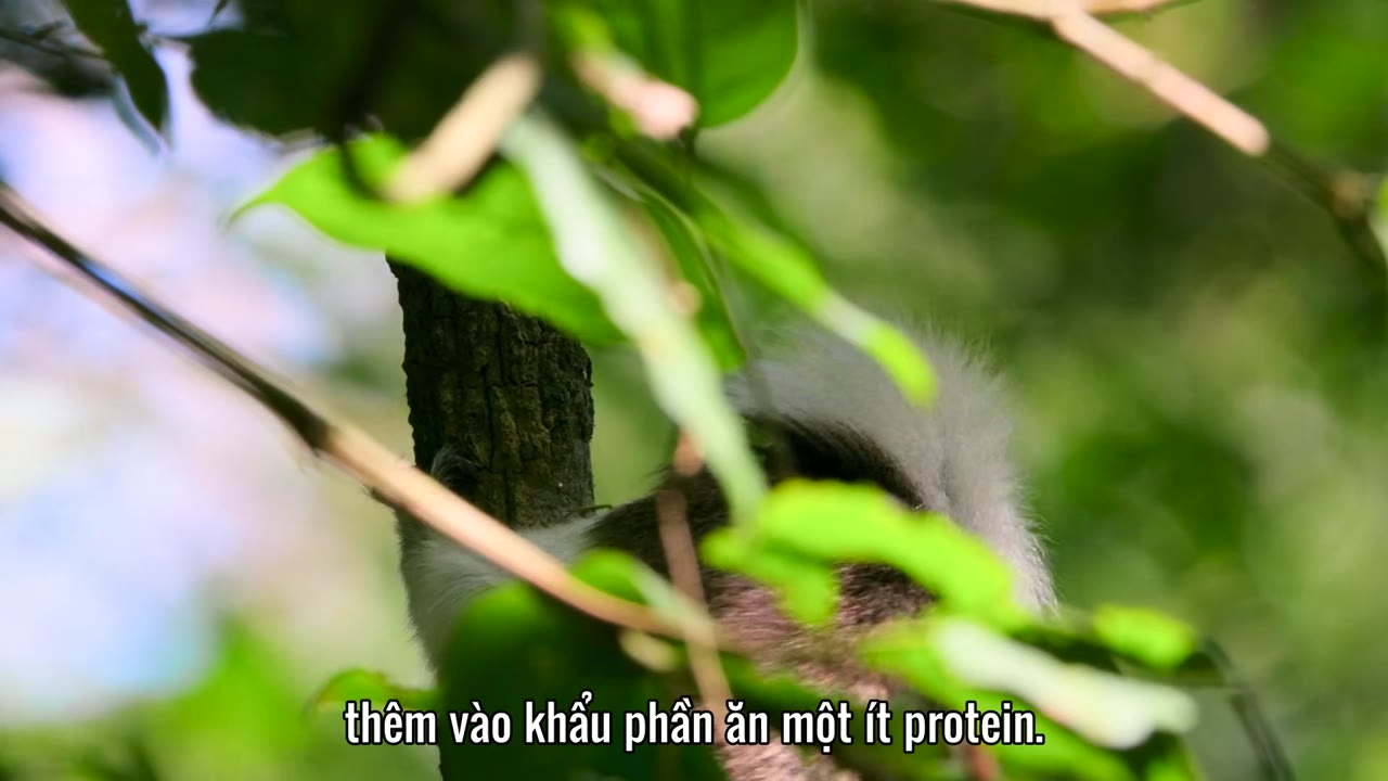 Bảy Thế Giới, Một Hành Tinh tập 3 cảnh 2