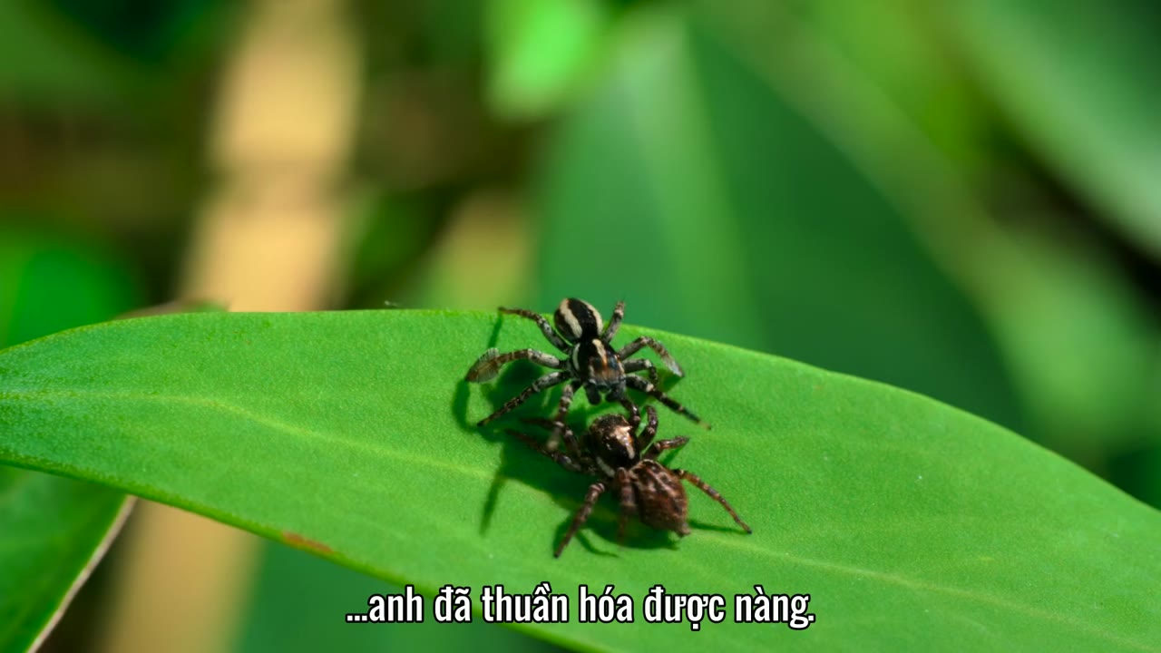 Bảy Thế Giới, Một Hành Tinh tập 4 cảnh 2