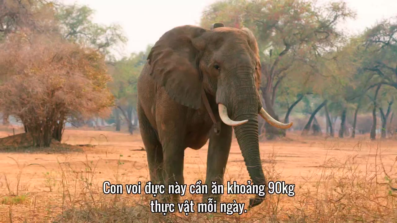 Bảy Thế Giới, Một Hành Tinh tập 7 cảnh 3