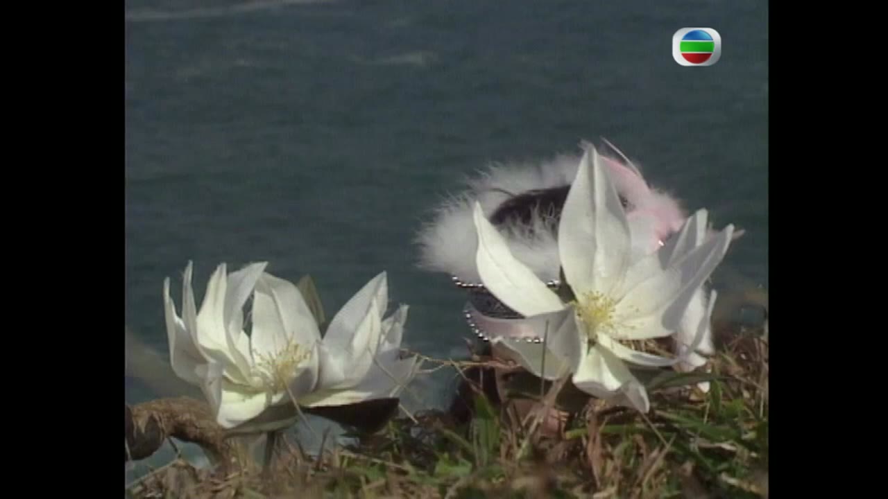 Đại Địa Phi Ưng tập 5