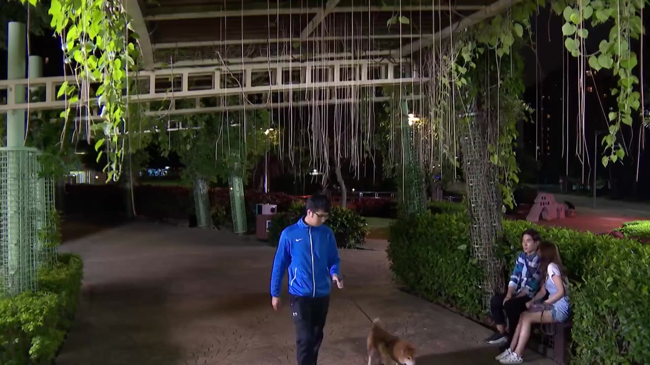 Bố Tôi Là Người Hùng tập 9