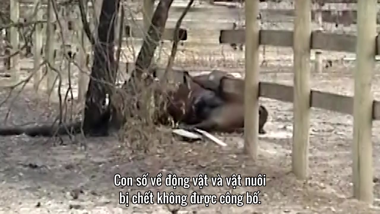 72 nơi sinh sống nguy hiểm tập 3 cảnh 2