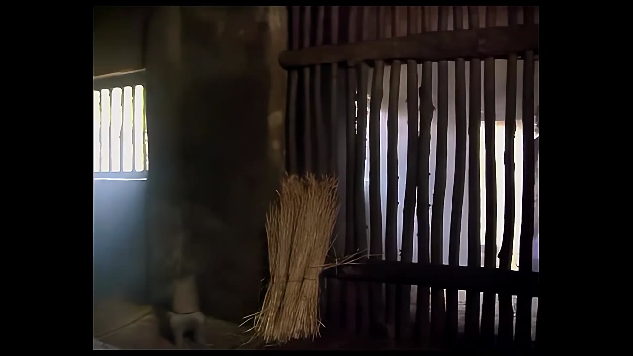 Binh Pháp Tôn Tử và 36 Kế tập 11
