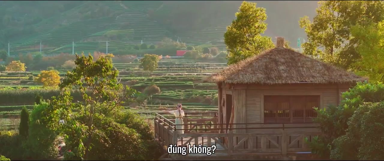 Đồi Trà Tình Yêu tập 1 cảnh 3