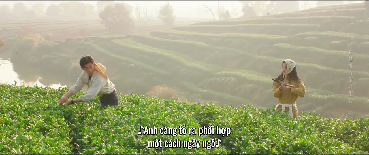 Đồi Trà Tình Yêu tập 3 cảnh 2